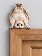 🦉 Quirky Upside-Down Owl Door Frame Decor